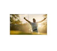 Philips 55BDL8107X/00 55" FHD Video Wall