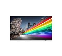 Philips 55BFL2214/12 55" Display