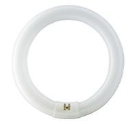Philips Ampoule G10Q CIRCLINE 32w 4000K /840