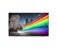 Philips 55BFL2214/12 55" Display