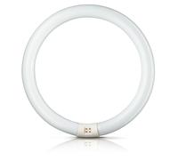 Philips Circular Fluorescent Lamp TL-E 32W/865 G10Q Daylight Cool