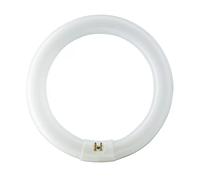 Philips G10q 40W 830 fluorescent ring Master Circular TL-E