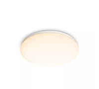 Philips Functional Moire Ceiling Light 17 W