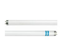 Philips G13 T8 fluorescent tube with splinter protection