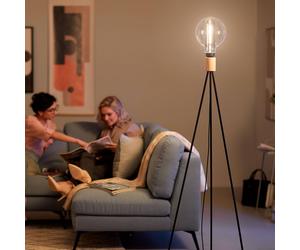 Philips Giant Globe smoky LED bulb E27 6,5W