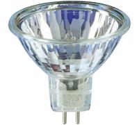 Philips Halogen Reflector Accentline 50 W, 36 Degrees, 12 V