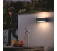 Philips Hedgehog outdoor wall light, anthracite, pack of 2