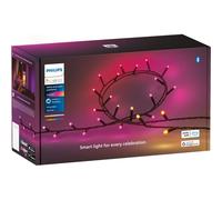 Philips Hue Festavia Smart 250 Multicolour LED Indoor/Outdoor Light String