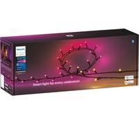 Philips Hue Ambiance Festavia 500 LED, Black