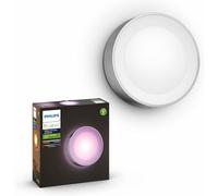 Philips Hue Daylo White & Colour Ambiance Smart LED Outdoor Wall Lighting, for Home Garden, Patio. [INOX] Works with Alexa, Google Assistant and Apple