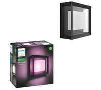Philips Hue Econic Outdoor Wall and Celling Light - Black