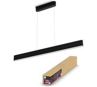 Philips Hue White and colour ambience Ensis pendant light