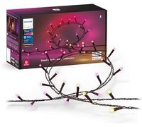 Philips Hue Festavia Smart 250 Multicolour LED Indoor/Outdoor Light String