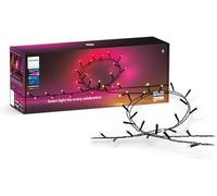 Philips Hue Festavia 500 LED - Black, Black