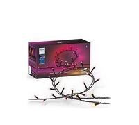 Philips Hue Hue Festavia String Lights 250Leds Uk Print