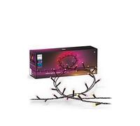 Philips Hue Hue Festavia String Lights 500Leds Uk Print