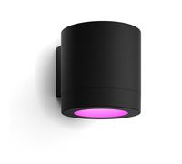 Philips Hue Outdoor Luminaires Muscari Wall Spotlight