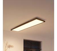 Philips Hue Panel White Ambiance Aurelle 120 x 30 cm black