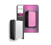 Philips Hue Turaco Outdoor Wall Light, Anthracite, dimmable, Warm White Light, controllable via app, Compatible with Amazon Alexa (Echo, Echo Dot), New Generation