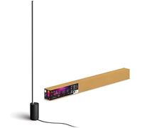 Philips Hue White and Color Ambiance, Black Sign Gradient Floor Lamp, Bluetooth Compatible, Works with Alexa, Google Assistant and Apple Homekit