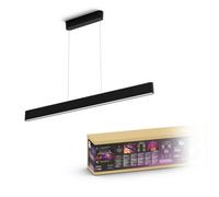 Philips Hue White and colour ambience Ensis pendant light