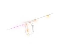 Philips Hue Festavia Permanent Outdoor String Lights Extension, 9 m, 16 Lights, 55 Lumens Per Light, Dimmable, Weatherproof, Water-Resistant, Easy to Install, White and Color Ambience, White Wire