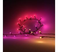 Philips Hue Festavia 500 LED - Black, Black