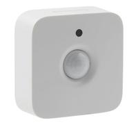 Philips Hue Motion sensor