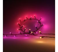 Philips Hue White & Colour Ambiance Festavia String Lights
