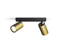 Philips Idris 2-Head spot, GU10 lamp not Included, Brass, IP44, Water-Resistant