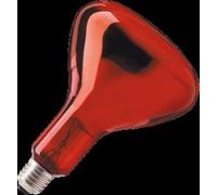 Philips Infrared Light bulb With reflector - 57521025