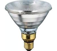 Philips Kerbl Economy Infrared Lamp 100 W Transparent