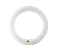 Philips Master Fluorescent Lamp TL-E 32W 840 Circular Super 80 G10Q Ring Tube [EEK: G]