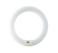 Philips Master Fluorescent Tube Fluotone TL-E 32W 840 Circular G10Q Light Lamp [EEK: G]