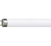 Philips Master TL-D Super 80 36W - Fluorescent Lamps (36W, T8, G13, A, 103V, 0.440A)
