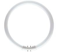 Philips Master TL5 Fluorescent Tube 60W/840 2GX13 Circular Neutral White 4000K