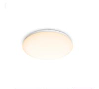 Philips Functional Moire Ceiling Light 17 W