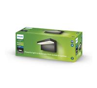 Philips myGarden Bustan Wall Lantern Bulb, 4.5 W. For Garden and Patio Lighting