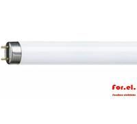 Philips Neon Lamp Master TL-D Super 80 1m 36W/830