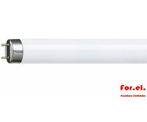 Philips Neon Lamp Master TL-D Super 80 1m 36W/830