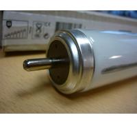 PHILIPS/OSRAM Fluorescent Lamp TL-X TLX XL 65W/33-640 261335 FA6 T12 4000K EX [EEK: G]