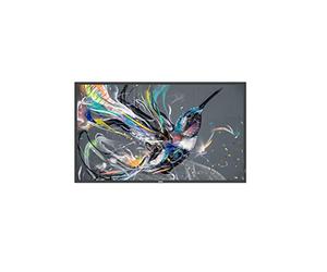 Philips Q-Line 43BDL3511Q/00 43' Display