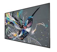 Philips Q-Line 75BDL3511Q/00 75' Display