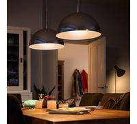 Philips reflector LED bulb E27 PAR38 13W 827 dimmable