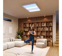 Philips SKYLIGHT LED ceiling lamp, 91 x 60 cm, white, CCT IP44
