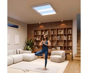 Philips SKYLIGHT VITA UP ceiling lamp, 93x60 cm, white, CCT, IP44
