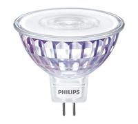 Philips Spotlight