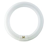 Philips Fluorescent Lamp Round Tl-E Circular Super80 Master 40W 830 Warm G10q [EEK: G]