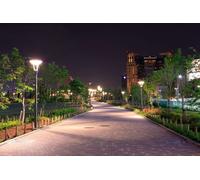 Philips TrueForce LED-lamp - 63822100