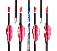 PHILOCS 12pc ID 4.2mm Spiral Feather Arrows Spine 300 350 400 500 600 700 800 900 1000 Hunting Practice Arrow for Bow and Arrow Shooting (Spine 1000, 27inch)